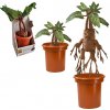 Noble Collection plyšová hračka Harry Potter Mandrake Interactive 30 cm