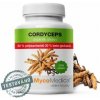 Mycomedica Cordyceps extrakt 50% Vegan 90 kapsúl