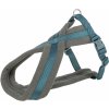 Nylonový postroj PREMIUM podšitý, S: 35-65 cm/20 mm, petrolejová/grafit