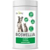 Dromy Boswellia 120 tbl.