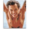 Diamantové maľovanie - Harry Styles 01 - 40x50 cm, bez dřevěného rámu - výroba CZ