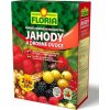 Floria hnojivo na jahody 2,5kg