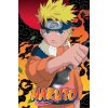 Plagát, Obraz - Naruto Shippuden - Naruto, 61 × 91.5 cm