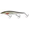 WESTIN - Wobler Jerkbite SR Suspending 11 cm 13,5 g Real Roach