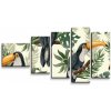 Sablio Obraz - 5-dílný Tukan - 100x60 cm