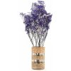 Stabilizované kvety Gypsophila - purple