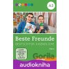 Beste Freunde A2 DVD -