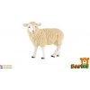 Figúrka ZOOTED Ovca domáca 8 cm