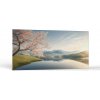 Príroda Jarná pokojná krajina | Obrazy Vintessia Rozmery panoráma: 30x60