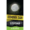 E-kniha Studna - Dominik Dán