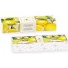 FLORINDA Mosaico Limone / Citron z pobrežia Amalfi / mydlo 200g + 3ks vonné vrecko