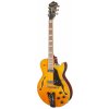 Ibanez GB10EM Antique Amber