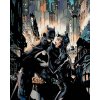 Zuty - Batman a catwoman, 40×50 cm, bez rámu a bez vypnutí plátna (8596530135883)