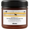 Davines NaturalTech Nourishing Hair Building Pak 250 ml