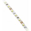 GTV LED pás studená biela, 5M 12V 300LED SMD 2835