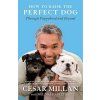 How to Raise the Perfect Dog: Through Puppyhood and Beyond (Millan Cesar)
