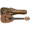 Ukulele koncertné Izzo IZ330CP