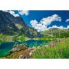 PUZZLE 500 PUZZLE KRAJINA HORY RYSY ČIERNY PÁSOVÝ RYBNÍK 9+ CASTOR