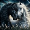 Norimpex diamantové malování Zamilované kone 30 x 40 cm