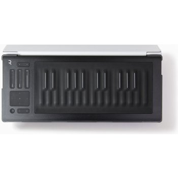 Roli Flip Case Silver