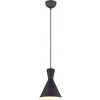 ZÁVESNÁ LAMPA TRIO RL ENZO R30781032 ČIERNA