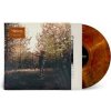 RITTER, JOSH - I BELIEVE IN YOU, MY HONEYDEW BEER LTD. (1LP)