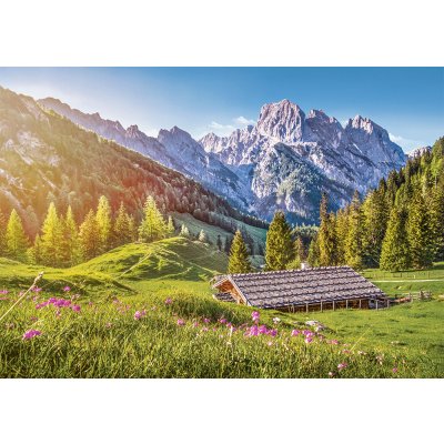 Castorland Léto v Alpách 500 dielov