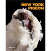 The New York Pigeon (Garn Andrew)