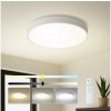 Brilagi | Brilagi-LED Stmievateľné svietidlo POOL SMART LED/48W/230V 40 cm Wi-Fi Tuya+DO biela | BG0672