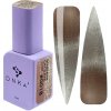 DNKa' Color Gel Polish Bohemian Cat's Eye 0018 12ml