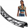 DT Swiss FR 541 Disc