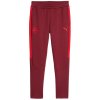Nohavice Puma Red Bull Salzburg Evostripe Pant 2025/26 781768-10 Veľkosť L