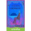 E-kniha Cesta domov - Peter S. Beagle