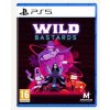 PS5 hra Wild Bastards