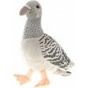 Micro Trading Holub plyšový, 22 cm (MT93776)