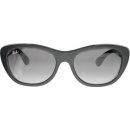 Ray-Ban RB4227 605/28G