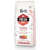 Brit Dog Fresh Beef & Pumpkin Puppy Large 12 kg