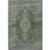 Hanse Home Collection koberce Kusový koberec Gloria 105519 Green - 120x170 cm Zelená