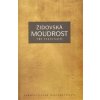 Židovská moudrost tří tisíciletí - Salcia Landmannová, Israel Steinberg