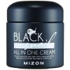 Mizon Pleťový krém s filtrátom sekrétu Afrického čierneho slimáky 90% (Black Snail All In One Cream) 35 ml