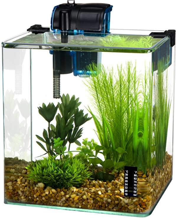 PP Vertex sklenené akvárium + filter, sieťka a teplomer 10 l od 62,12 € -  Heureka.sk