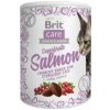 Brit Care Cat Snack Superfruits Salmon 100 g