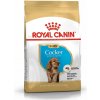 Royal Canin Puppy Cocker Spaniel granule pre šteniatka 3 kg