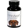 AminAvast 1000 mg 60 cps. pes