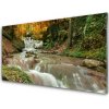 Sklenený obklad Do kuchyne Vodopád les príroda 100x50 cm