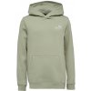 Pánska mikina Puma, ESS+2 COL SMALL LOGO HOODIE FL Khaki,Biela 152