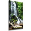 Vertikálny foto obraz na plátne Vodopád v džungli 50x100 cm
