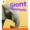 Oxford Reading Tree: Level 6: Floppy's Phonics Non-Fiction: Pack of 6 (Claire Llewellyn)(Brožovaná)