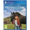 Windstorm: Start of a Great Friendship (PS4)