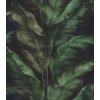 Rasch Samolepiace tapeta na stenu, banánové listy, 0,53 x 6,00 m